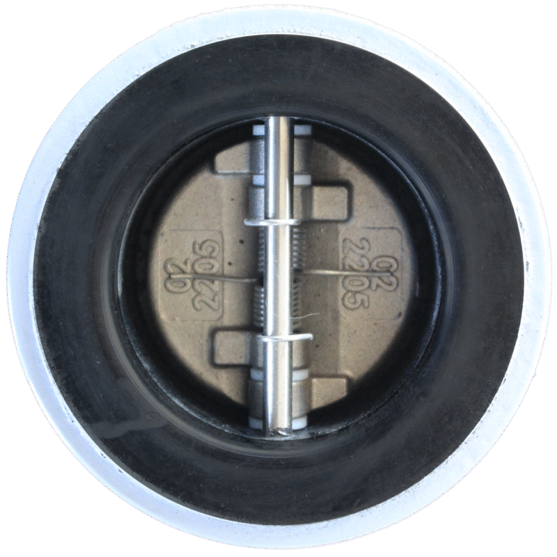 DH77X-10/16Q - Dual Plate Check Valve